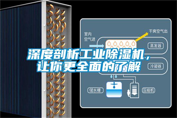 深度剖析工业好色先生污污版，让你更全面的了解