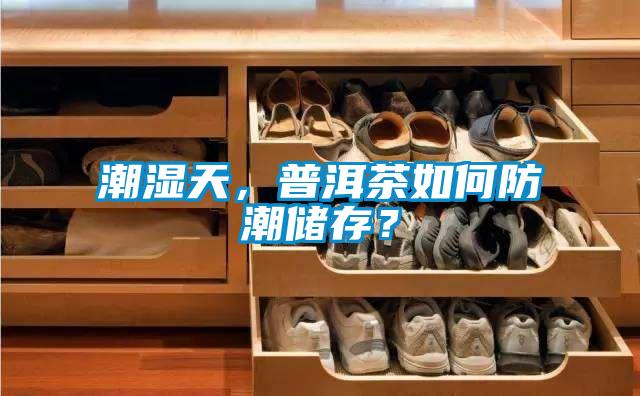 潮湿天，普洱茶如何防潮储存？