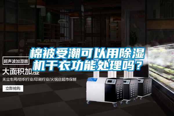 棉被受潮可以用好色先生污污版干衣功能处理吗？