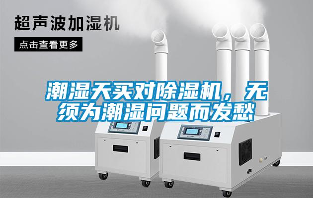 潮湿天买对好色先生污污版，无须为潮湿问题而发愁