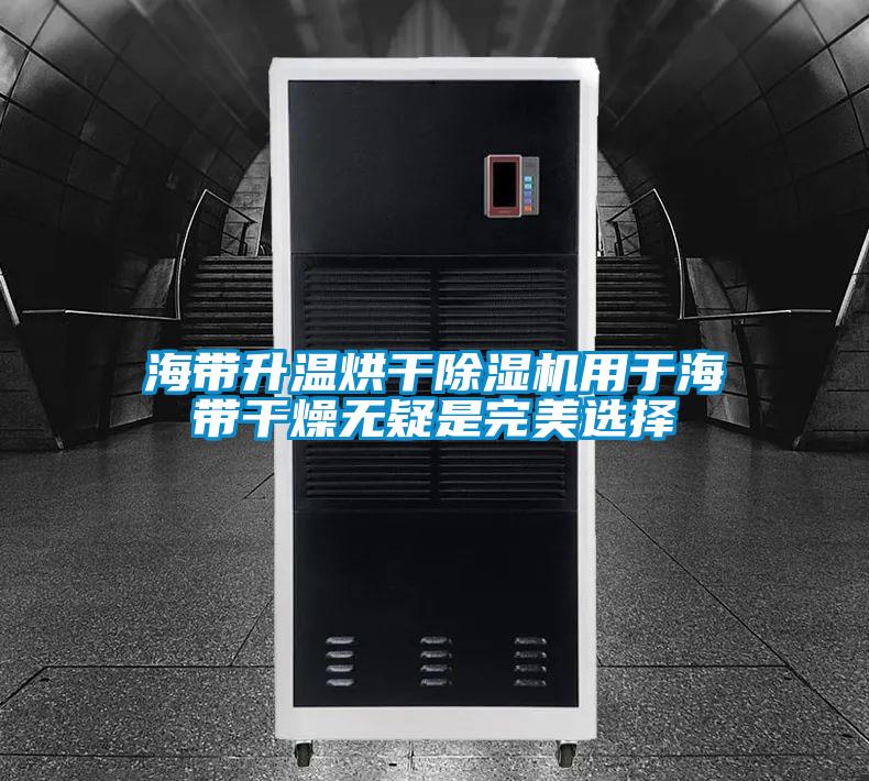 海带升温烘干好色先生污污版用于海带干燥无疑是完美选择