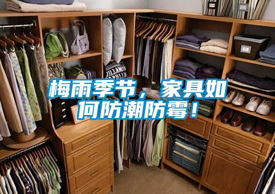 梅雨季节，家具如何防潮防霉！