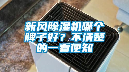 新风好色先生污污版哪个牌子好？不清楚的一看便知