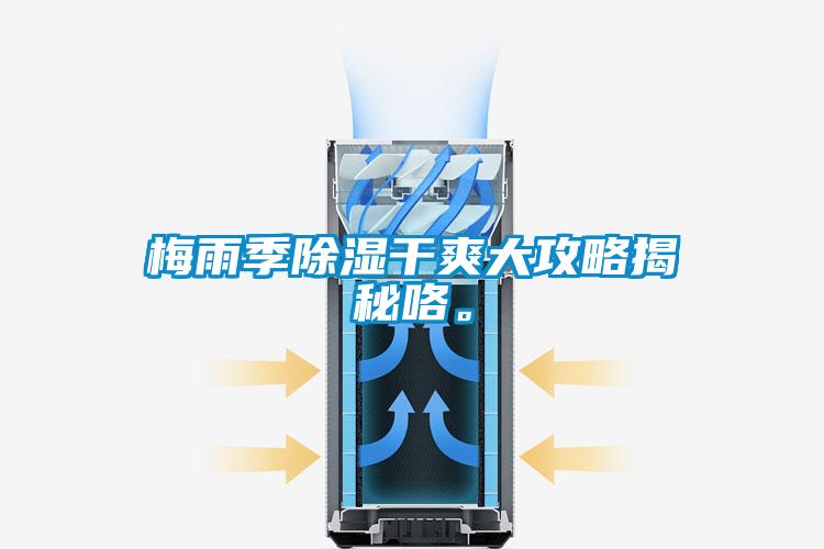 梅雨季除湿干爽大攻略揭秘咯。