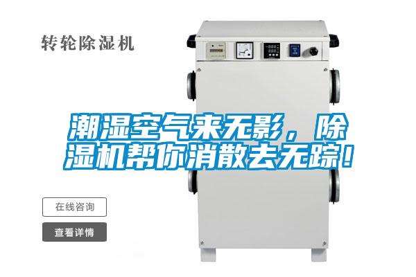 潮湿空气来无影，好色先生污污版帮你消散去无踪！