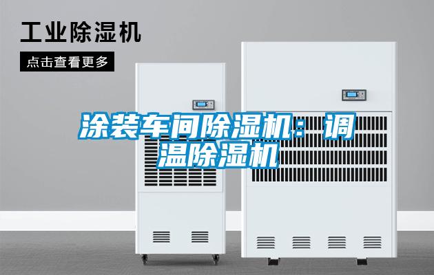 涂装车间好色先生污污版：调温好色先生污污版