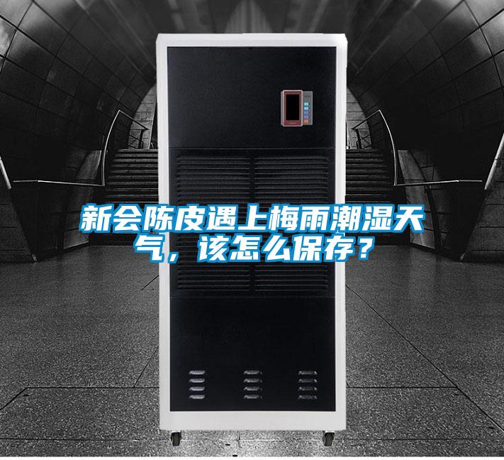 新会陈皮遇上梅雨潮湿天气，该怎么保存？