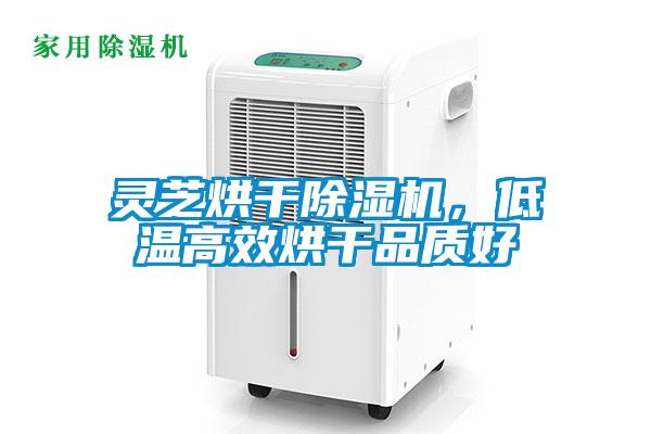 灵芝烘干好色先生污污版，低温高效烘干品质好