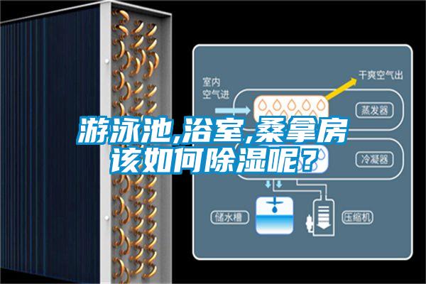 游泳池,浴室,桑拿房该如何除湿呢？