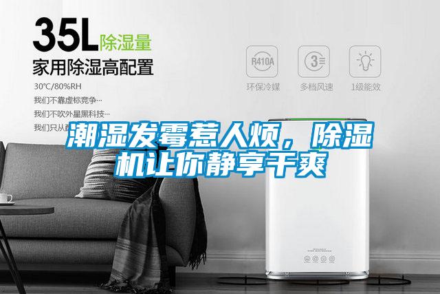 潮湿发霉惹人烦，好色先生污污版让你静享干爽