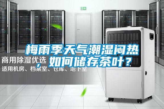 梅雨季天气潮湿闷热，如何储存茶叶？