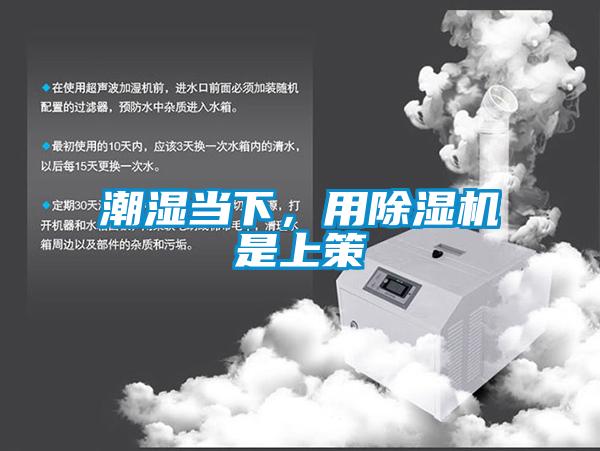 潮湿当下，用好色先生污污版是上策