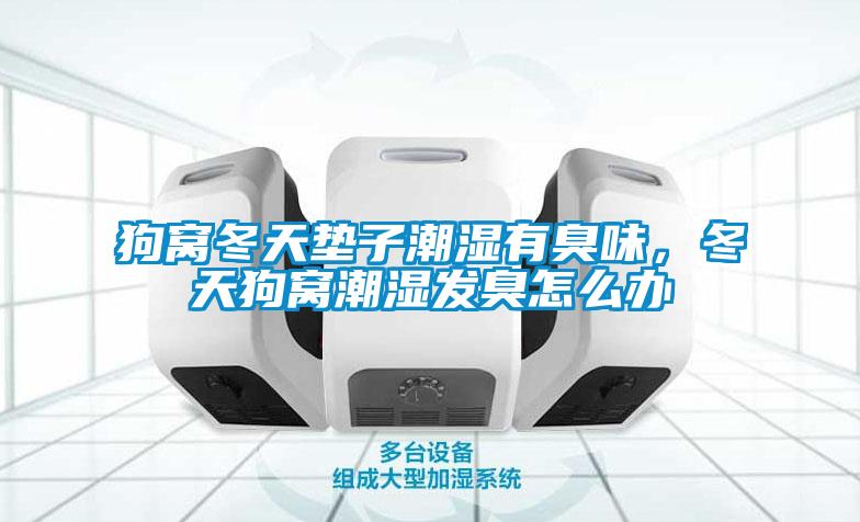 狗窝冬天垫子潮湿有臭味，冬天狗窝潮湿发臭怎么办