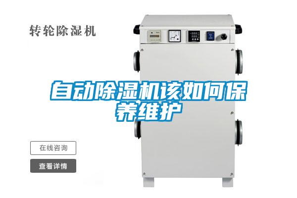 自动好色先生污污版该如何保养维护