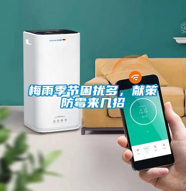 梅雨季节困扰多，献策防霉来几招