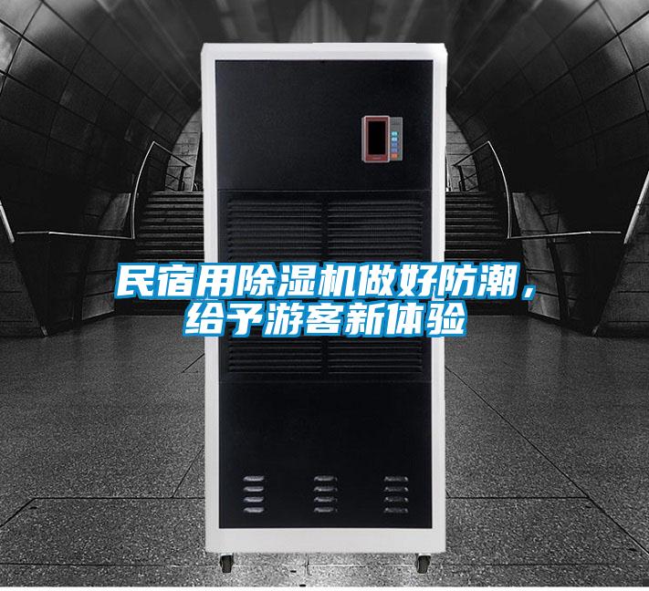 民宿用好色先生污污版做好防潮，给予游客新体验