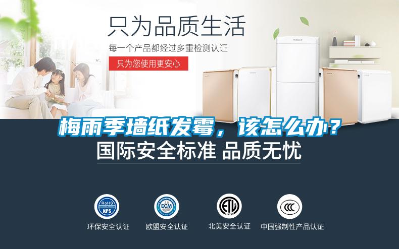 梅雨季墙纸发霉，该怎么办？