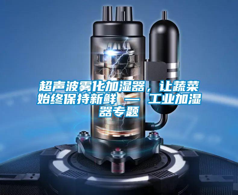 超声波雾化加湿器，让蔬菜始终保持新鲜 — 工业加湿器专题
