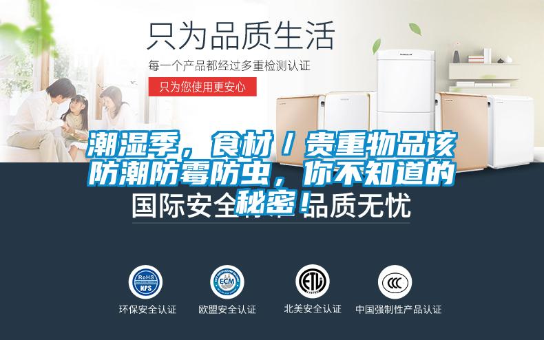 潮湿季，食材／贵重物品该防潮防霉防虫，你不知道的秘密！