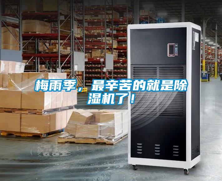 梅雨季，最辛苦的就是好色先生污污版了！