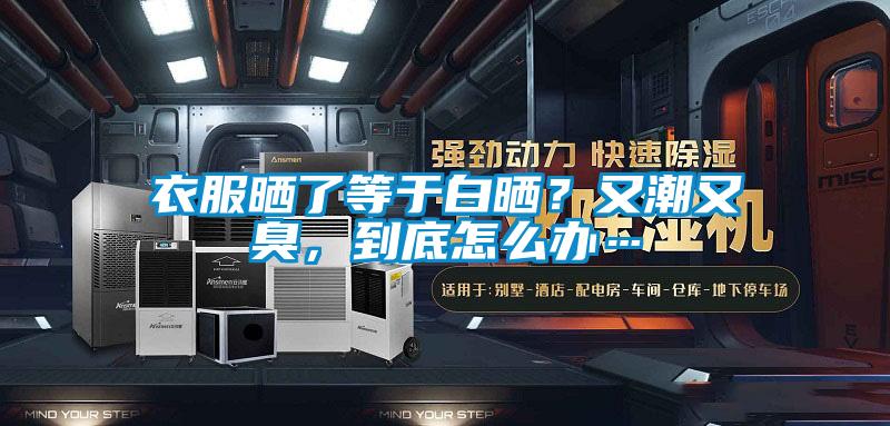 衣服晒了等于白晒？又潮又臭，到底怎么办…