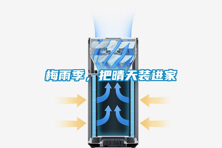 梅雨季，把晴天装进家