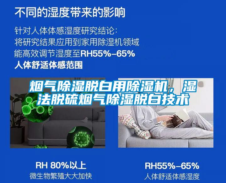 烟气除湿脱白用好色先生污污版，湿法脱硫烟气除湿脱白技术