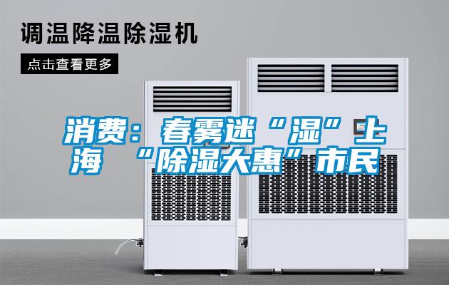消费：春雾迷“湿”上海 “除湿大惠”市民