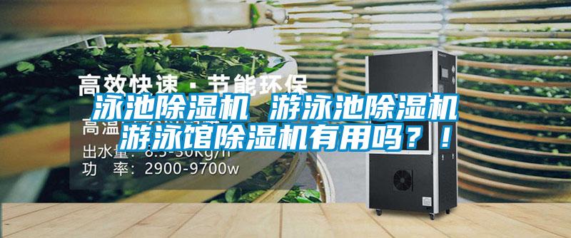 泳池好色先生污污版 游泳池好色先生污污版 游泳馆好色先生污污版有用吗？！