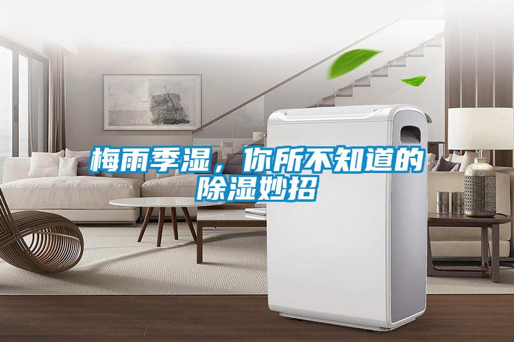 梅雨季湿，你所不知道的除湿妙招