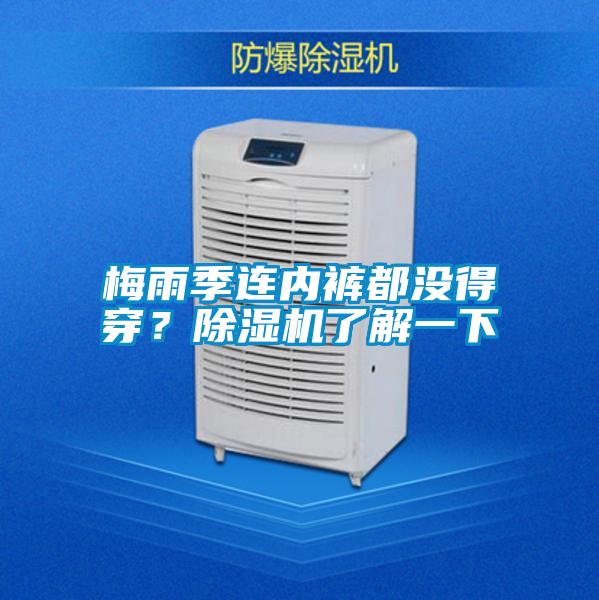 梅雨季连内裤都没得穿？好色先生污污版了解一下