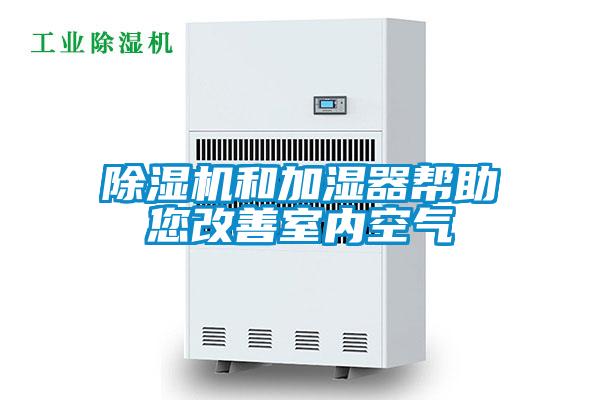 好色先生污污版和加湿器帮助您改善室内空气