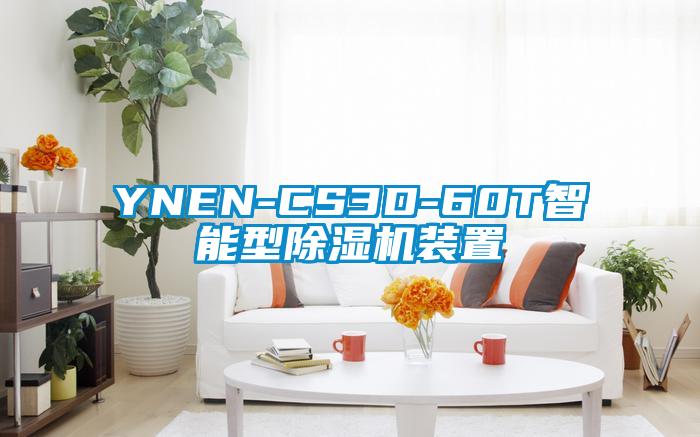 YNEN-CS3D-60T智能型好色先生污污版装置