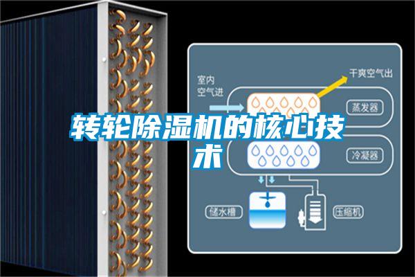 转轮好色先生污污版的核心技术