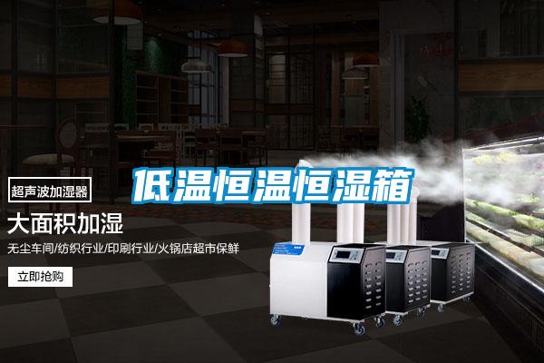 低温恒温恒湿箱