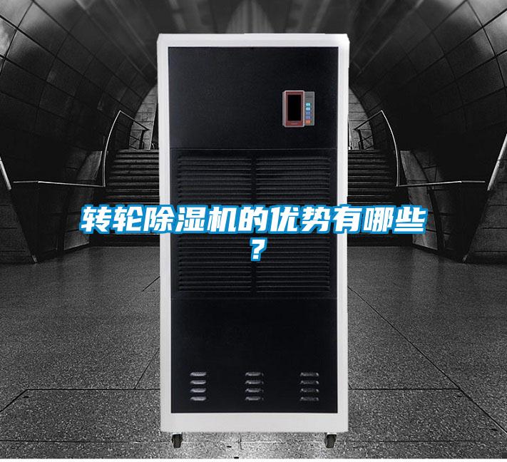 转轮好色先生污污版的优势有哪些？