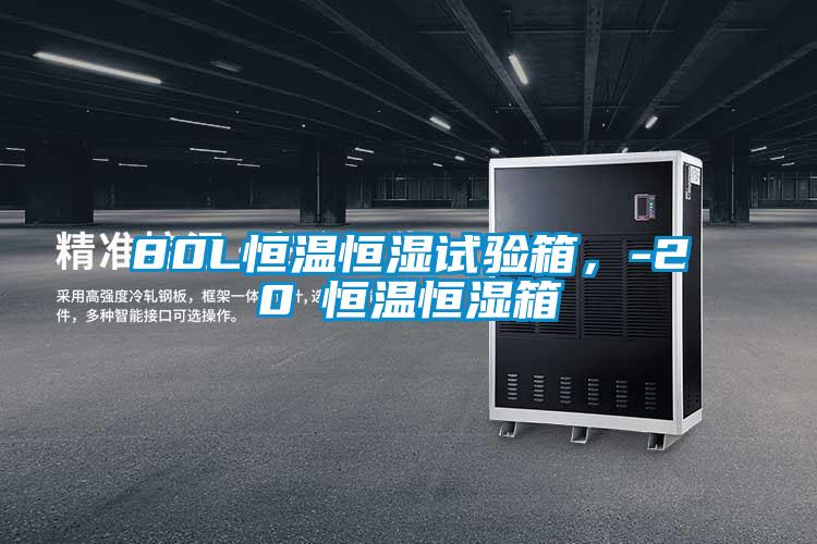 80L恒温恒湿试验箱，-20℃恒温恒湿箱