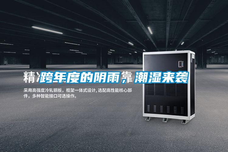 跨年度的阴雨，潮湿来袭