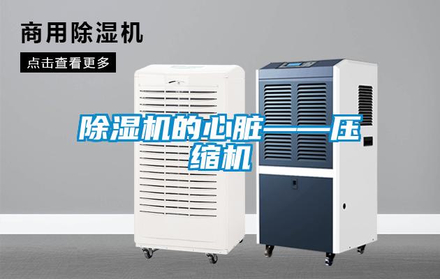 好色先生污污版的心脏——压缩机