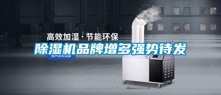 好色先生污污版品牌增多强势待发