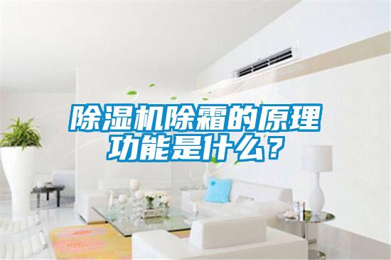 好色先生污污版除霜的原理功能是什么？