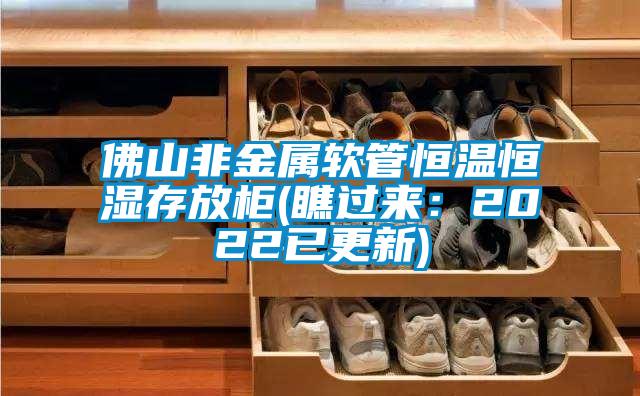 佛山非金属软管恒温恒湿存放柜(瞧过来：2022已更新)