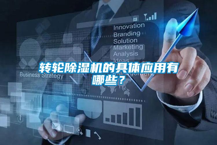 转轮好色先生污污版的具体应用有哪些？