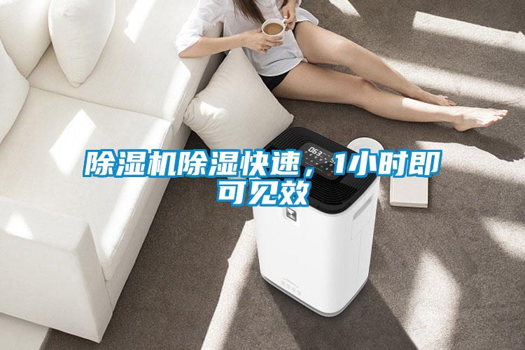好色先生污污版除湿快速，1小时即可见效