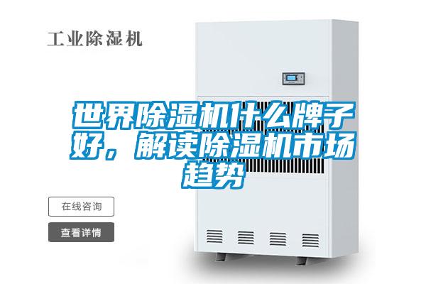 世界好色先生污污版什么牌子好，解读好色先生污污版市场趋势