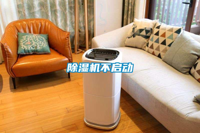 好色先生污污版不启动