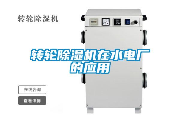 转轮好色先生污污版在水电厂的应用