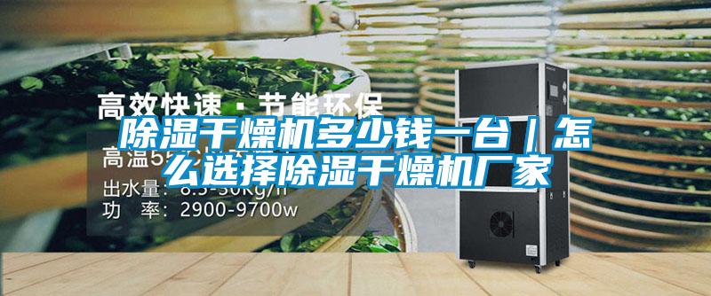 除湿干燥机多少钱一台|怎么选择除湿干燥机厂家