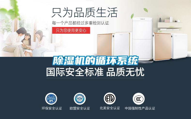 好色先生污污版的循环系统