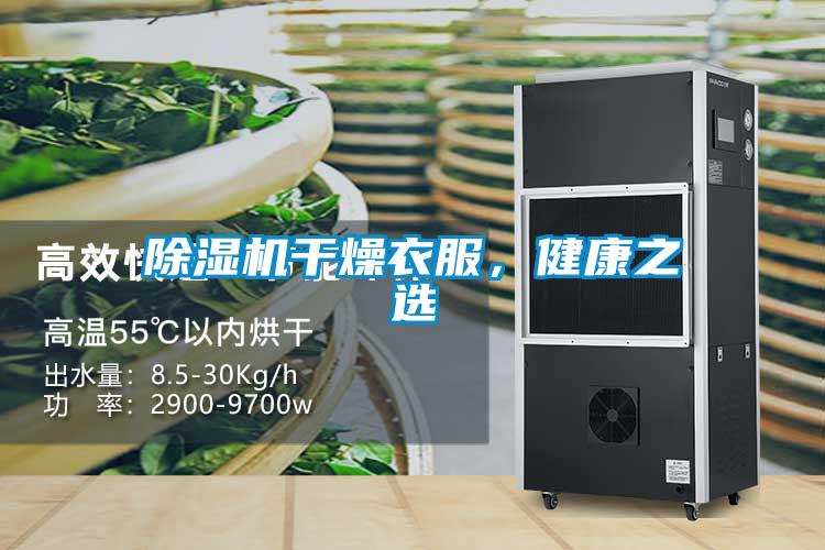 好色先生污污版干燥衣服，健康之选